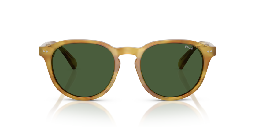 Sunglasses Polo Ralph Lauren PH4221 618571 52 19