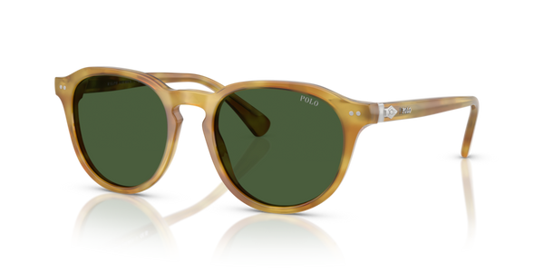 Sonnenbrillen Polo Ralph Lauren PH4221 618571 52 19