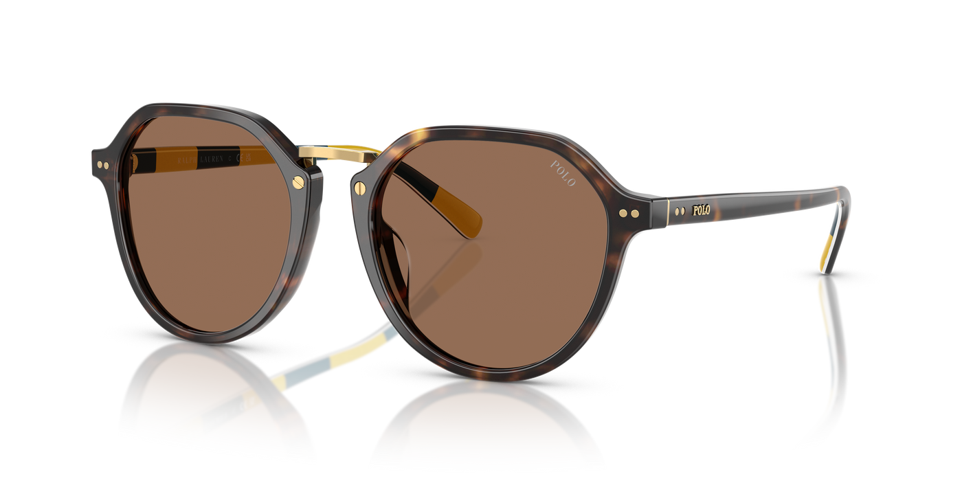 Gafas de Sol Polo Ralph Lauren PH4223U 500373 53 19
