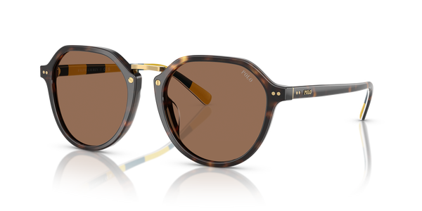 Gafas de Sol Polo Ralph Lauren PH4223U 500373 53 19