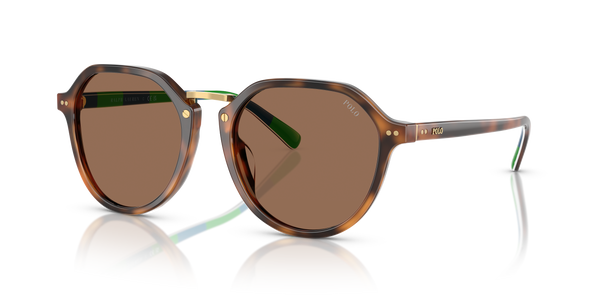 Gafas de Sol Polo Ralph Lauren PH4223U 608973 53 19