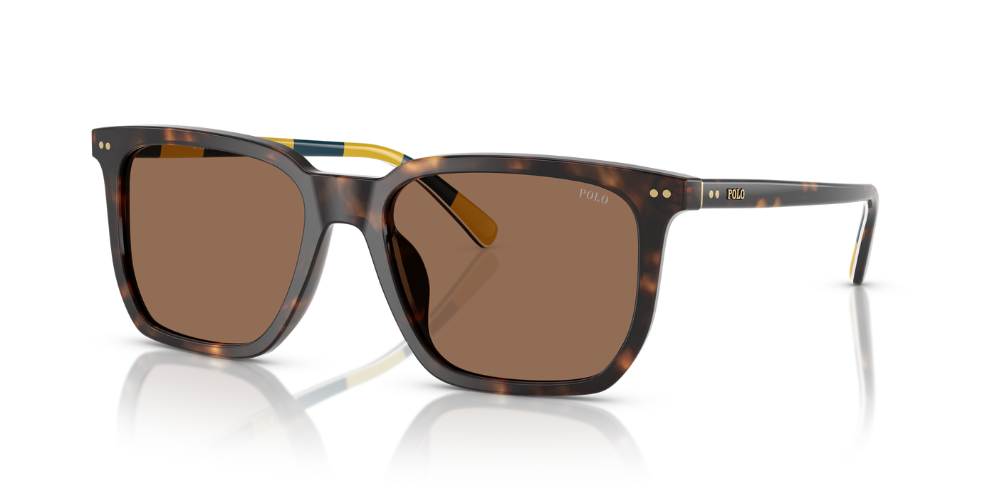 Gafas de Sol Polo Ralph Lauren PH4224U 500373 55 18