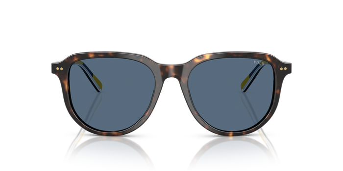 Gafas de Sol Polo Ralph Lauren PH4225 500380 53 18 — vista 2