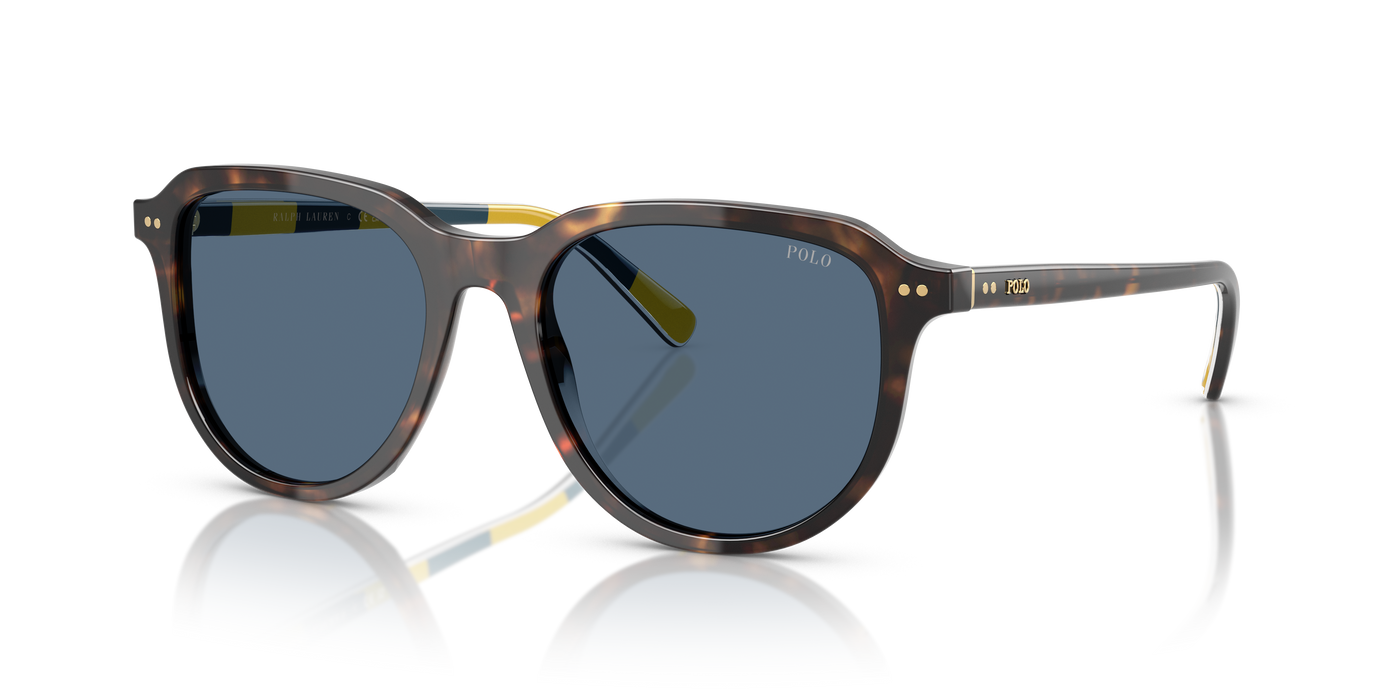 Gafas de Sol Polo Ralph Lauren PH4225 500380 53 18