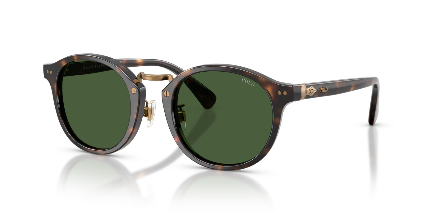 Gafas de Sol Polo Ralph Lauren PH4230 500371 50 22