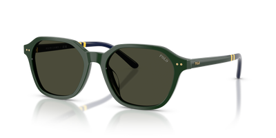 Gafas de Sol Polo Ralph Lauren PH4234U 614082 54 18