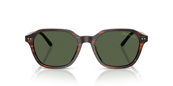 Gafas de Sol Polo Ralph Lauren PH4234U 63159A 54 18 — vista 2