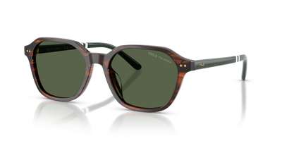 Gafas de Sol Polo Ralph Lauren PH4234U 63159A 54 18