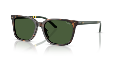 Gafas de Sol Polo Ralph Lauren PH4235U 500371 54 18