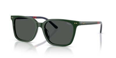Gafas de Sol Polo Ralph Lauren PH4235U 614087 54 18