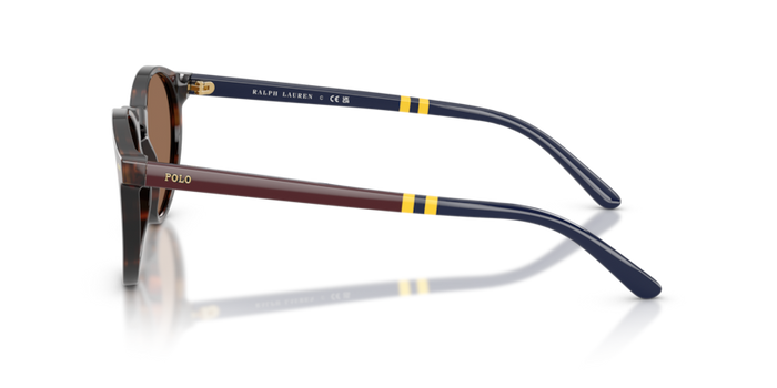 Gafas de Sol Polo Ralph Lauren PH4236 500373 50 20 — vista 4