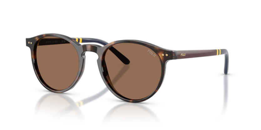 Солнцезащитные очки Polo Ralph Lauren PH4236 500373 50 20