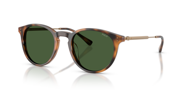 Gafas de Sol Polo Ralph Lauren PH4239U 500371 50 21