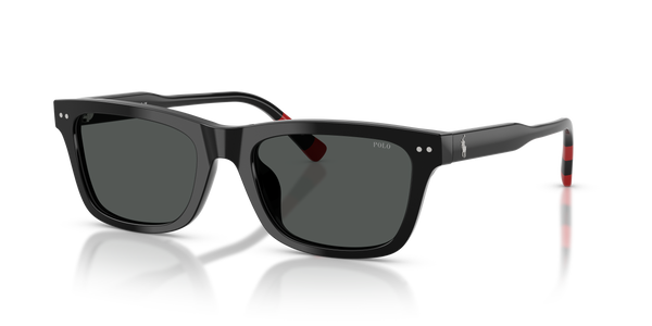 Gafas de Sol Polo Ralph Lauren PH4240U 500187 54 19