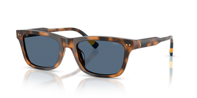 Gafas de Sol Polo Ralph Lauren PH4240U 608980 54 19