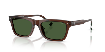 Gafas de Sol Polo Ralph Lauren PH4240U 631571 54 19