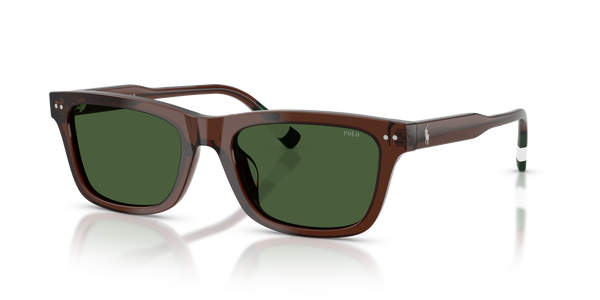 Gafas de Sol Polo Ralph Lauren PH4240U 631571 54 19