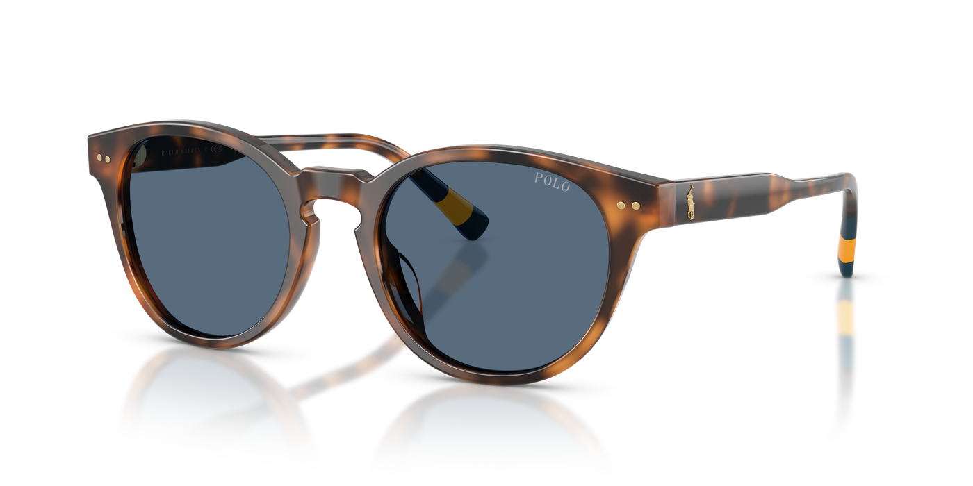 Gafas de Sol Polo Ralph Lauren PH4241U 608980 52 20