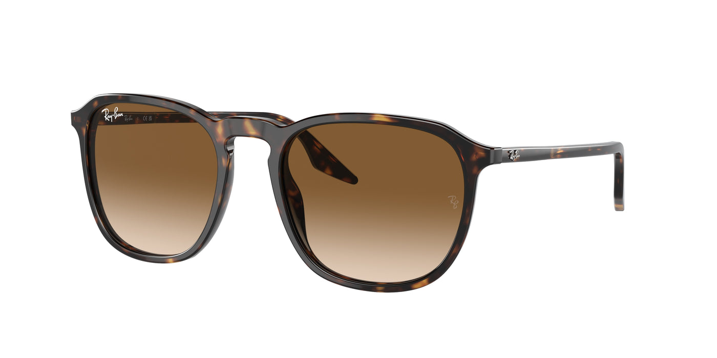 Солнцезащитные очки Ray-Ban RB2203 902/51 52 20