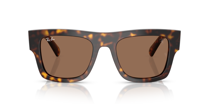 Gafas de Sol Ray-Ban F70511 RB2217M F61373 — vista 2