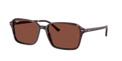 Gafas de Sol Ray-Ban RAIMOND RB2231 1416C5 58 18