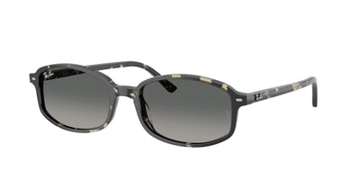 Sunglasses Ray-Ban Sam RB2232 133371