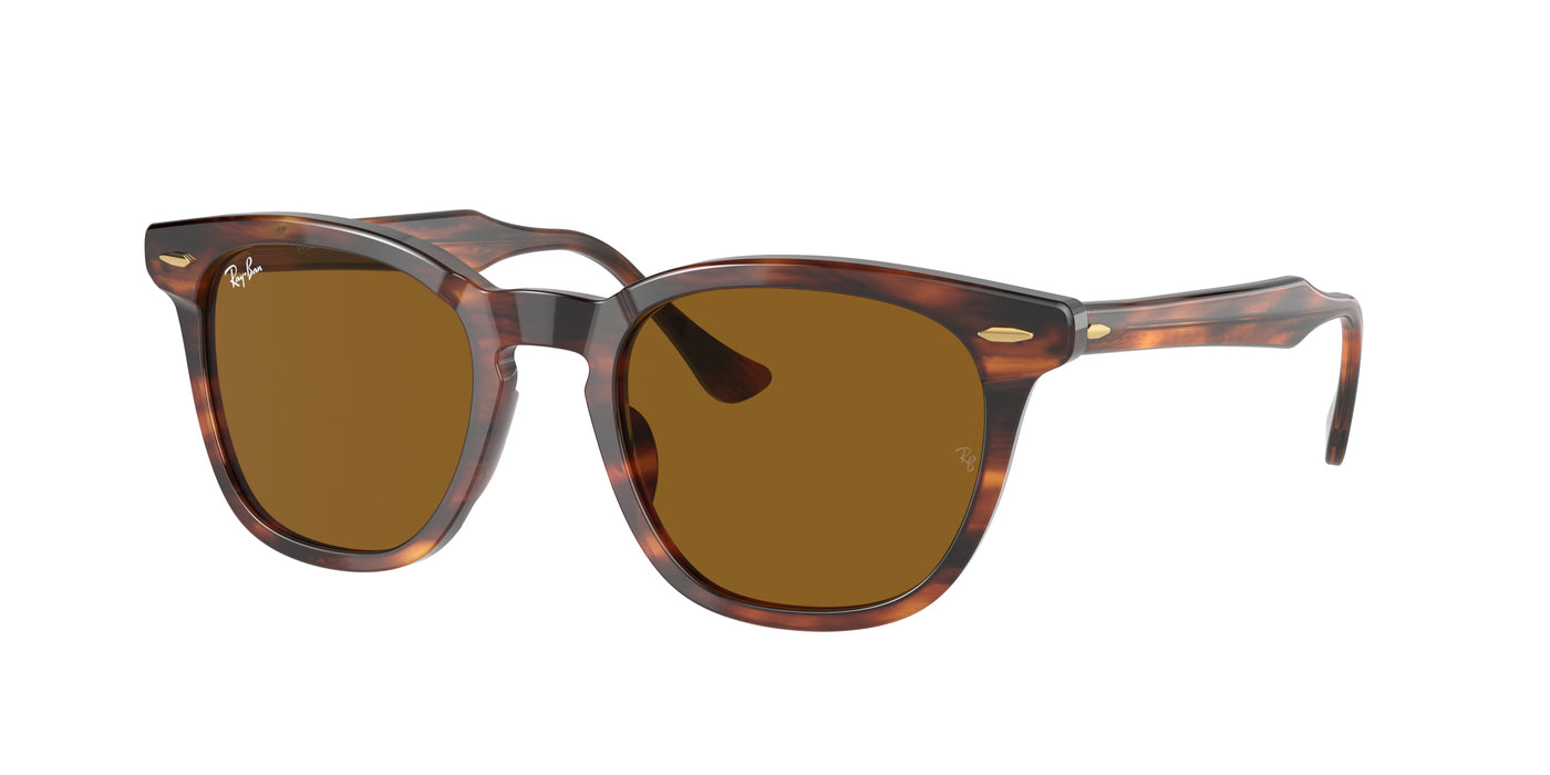 Sunglasses Ray-Ban HAWKEYE RB2298 954/33 52 21