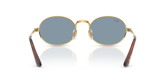 Sunglasses Ray-Ban RB3931 001/56 54 21 — vista 6