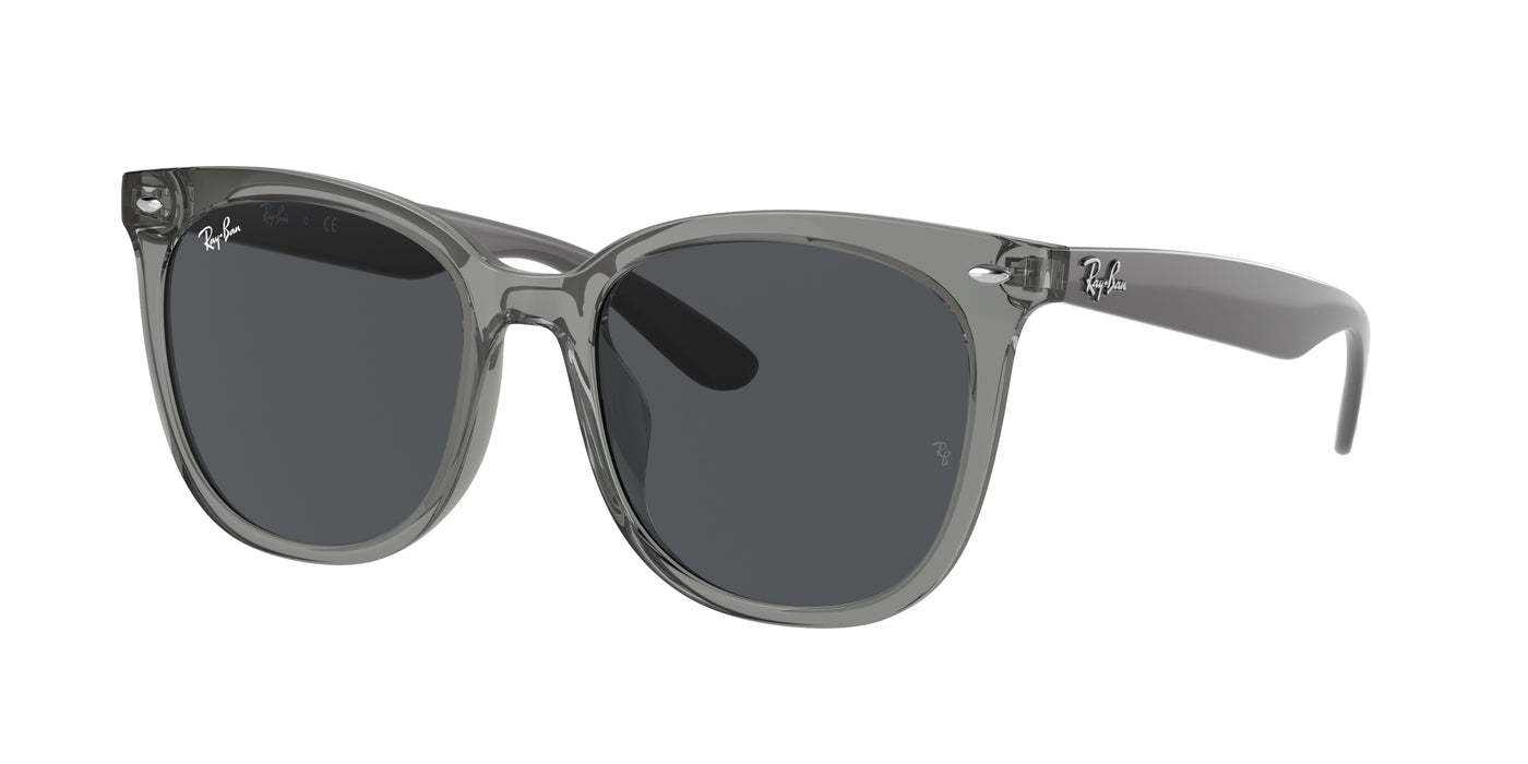 Sonnenbrille Ray-Ban RB4379D 659987 55 19