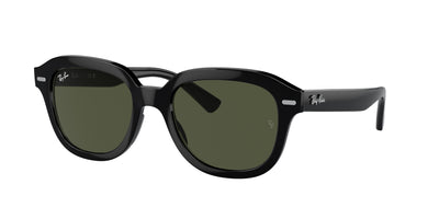 Солнцезащитные очки Ray-Ban ERIK RB4398 901/31 53 20