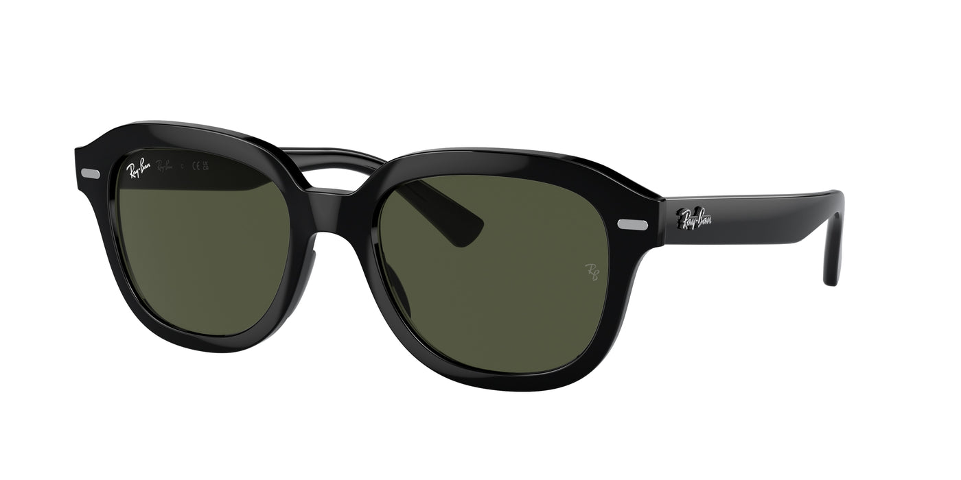 Солнцезащитные очки Ray-Ban ERIK RB4398 901/31 53 20