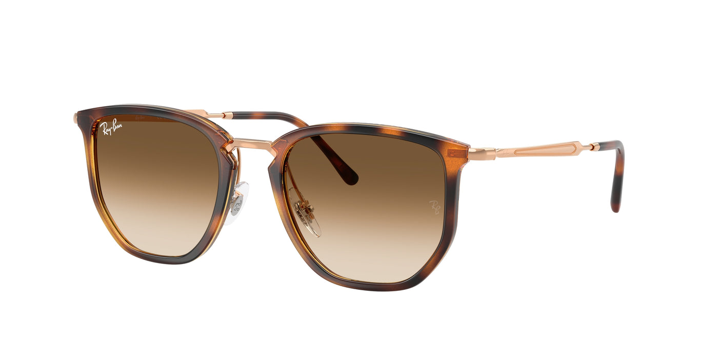Sunglasses Ray-Ban RB4451 680451 50 20