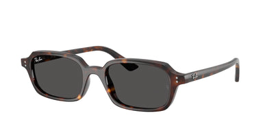 Sonnenbrille Ray-Ban ZURI RB4455 135987 49 19