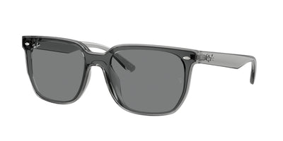 Sunglasses Ray-Ban RB4466D 645087 47 147