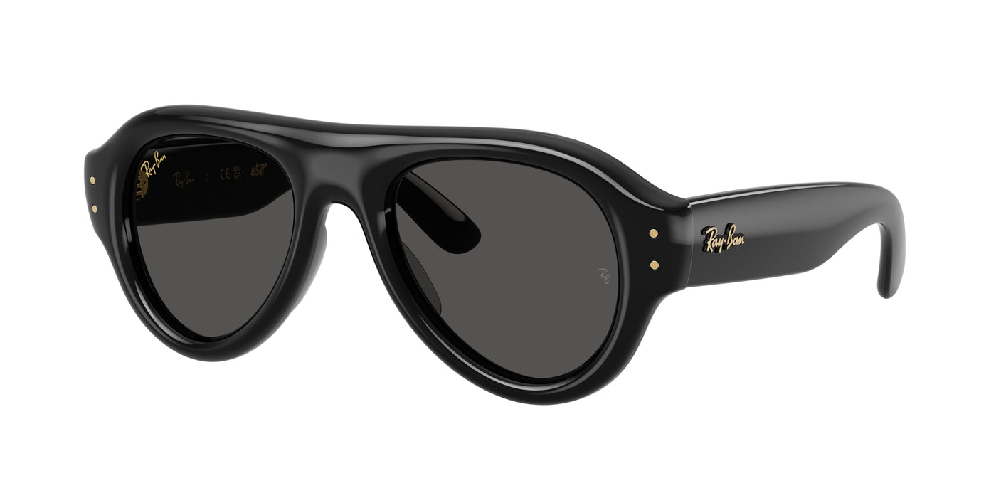 Lunettes de Soleil Ray-Ban RB4925 601/87