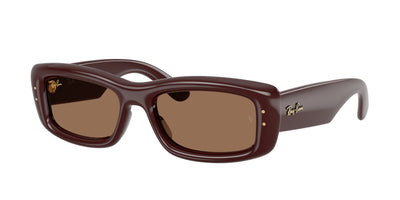 Gafas de Sol Ray-Ban RB4944 687773 55 19