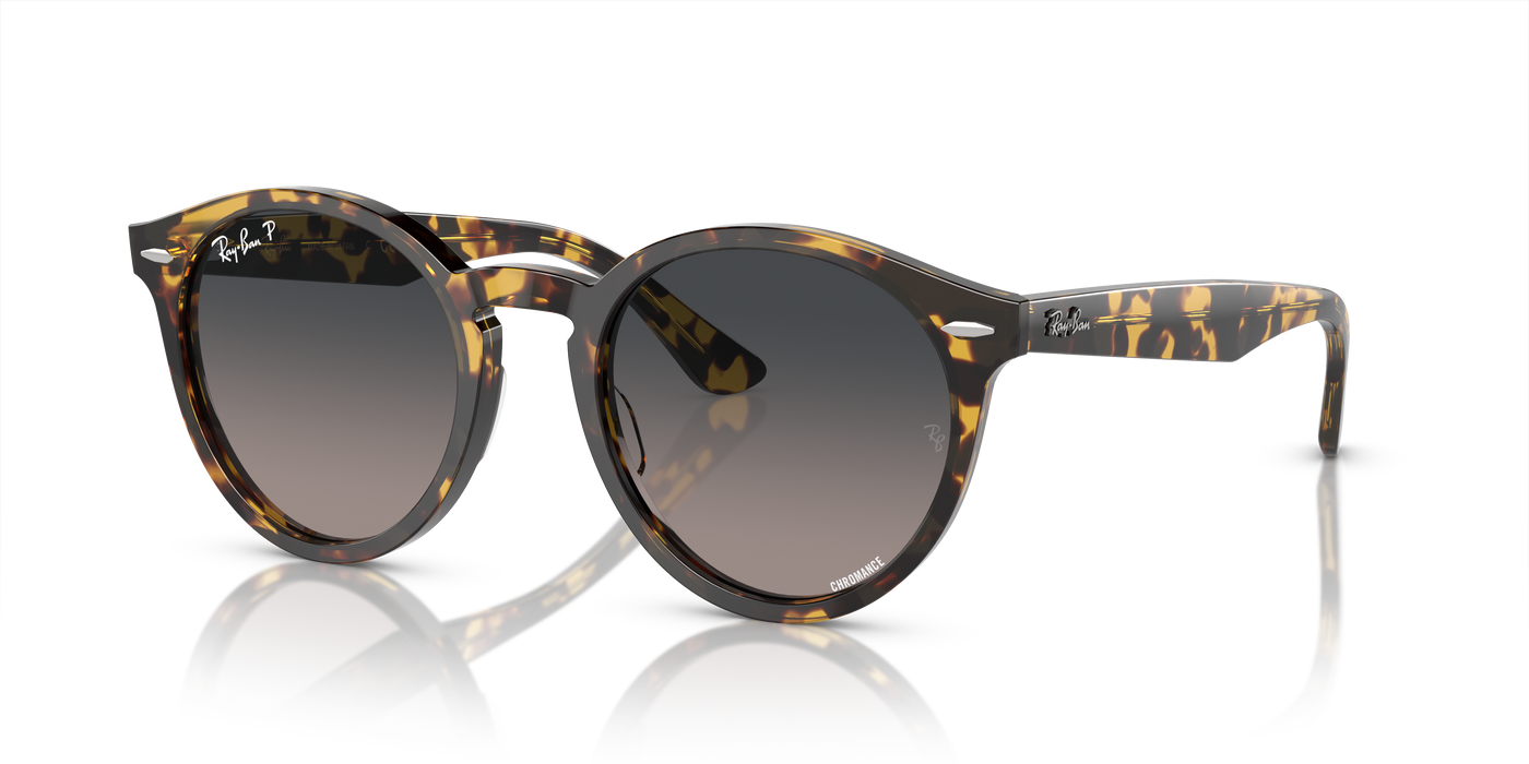 Солнцезащитные очки Ray-Ban Larry RB7680S 1332GL 49 21