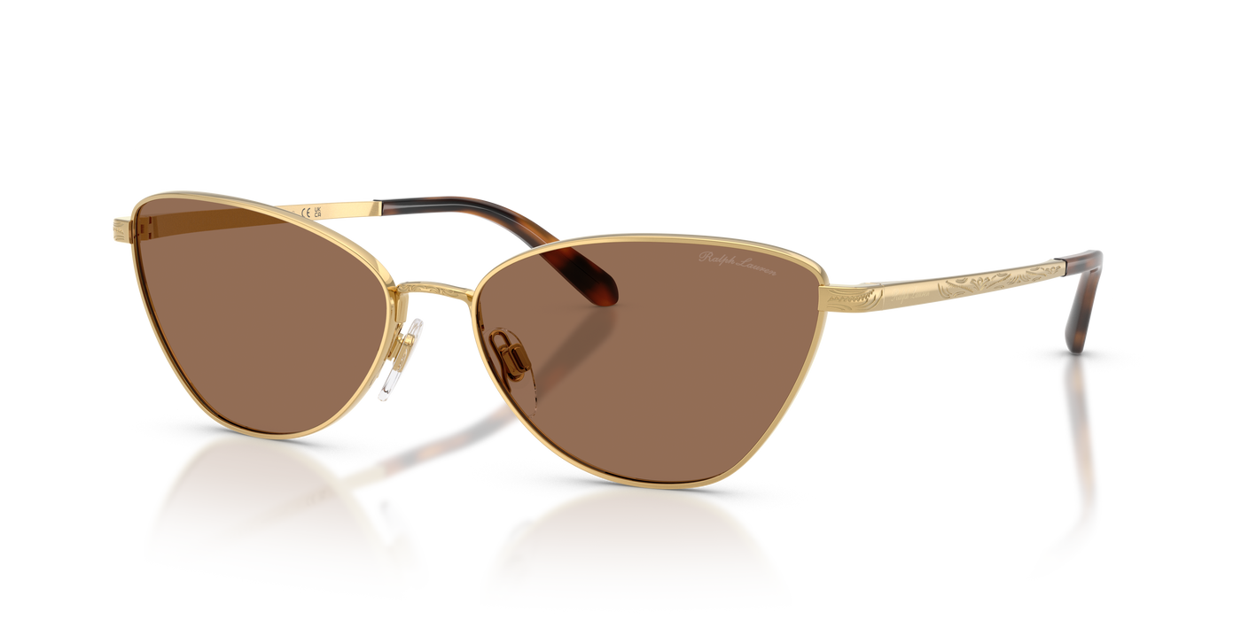 Sonnenbrille Ralph Lauren RL7093 900473 60 16