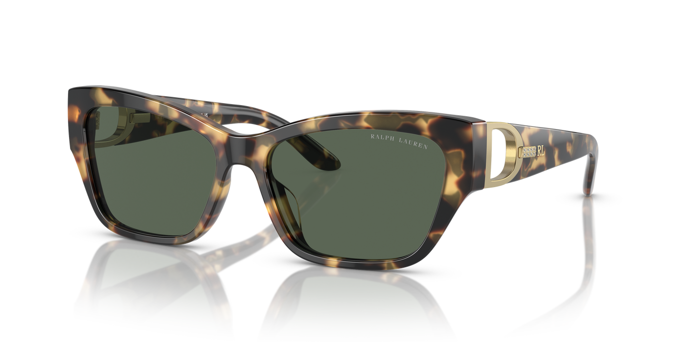 Sonnenbrille Ralph Lauren The Audrey RL8206U 500471 57 16