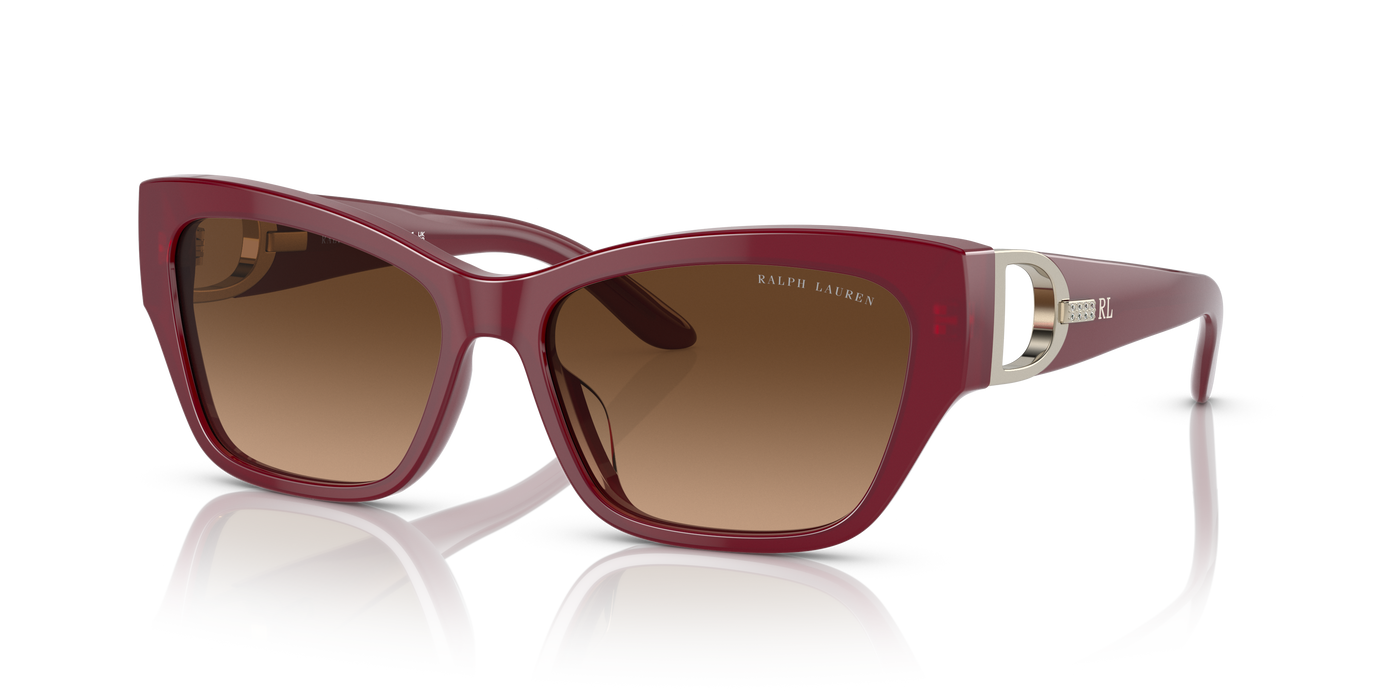 Sonnenbrille Ralph Lauren The Audrey RL8206U 591274 57 16