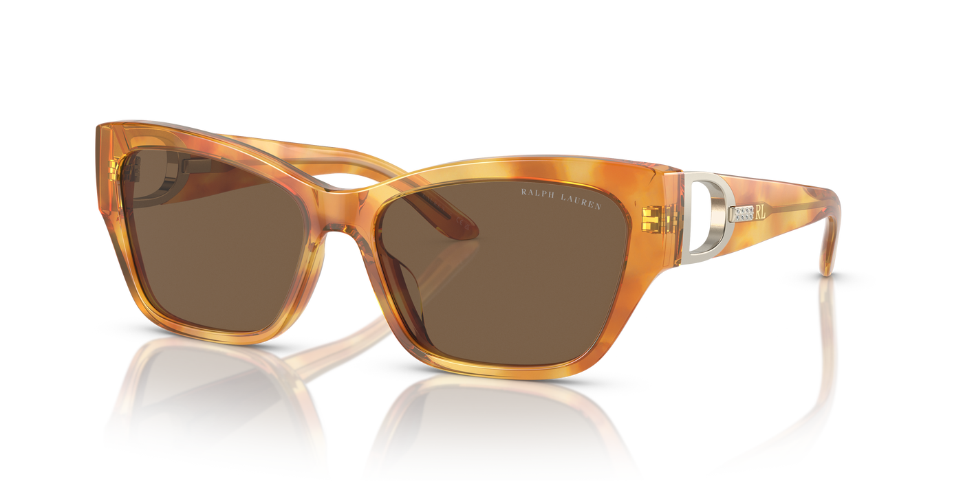 Sonnenbrille Ralph Lauren The Audrey RL8206U 605173 57 16