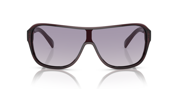 Sonnenbrille Ralph Lauren The Dillion RL8214U 605279 34 134 — vista 2