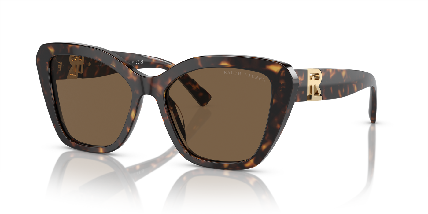 Sonnenbrille Ralph Lauren The Isabel RL8216U 500373 55 17