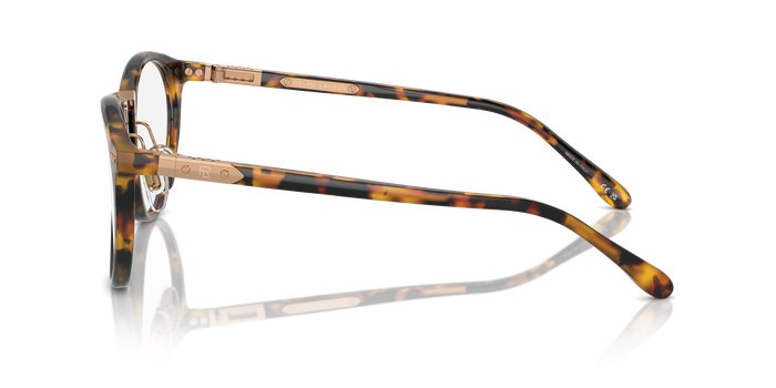 Sonnenbrille Ralph Lauren The Quincy RL8223 5134BF 53 22 — vista 3