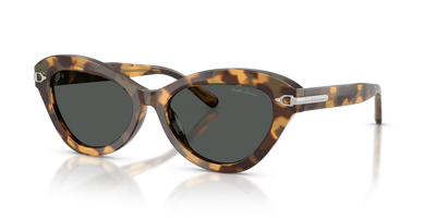 Sonnenbrille Ralph Lauren RL8236U 617887 54 17