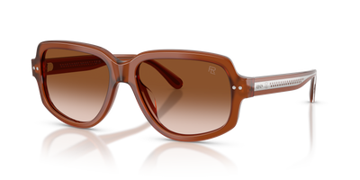Sunglasses Ralph Lauren RL8238U 630613 57 16