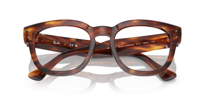 Ray-Ban RX0298V 2144 50 21 Korrektionsbrille — vista 6
