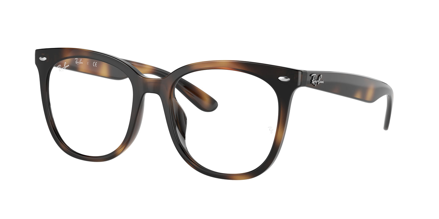 Lunettes de Vue Ray-Ban RX4379VD 2012 53 19