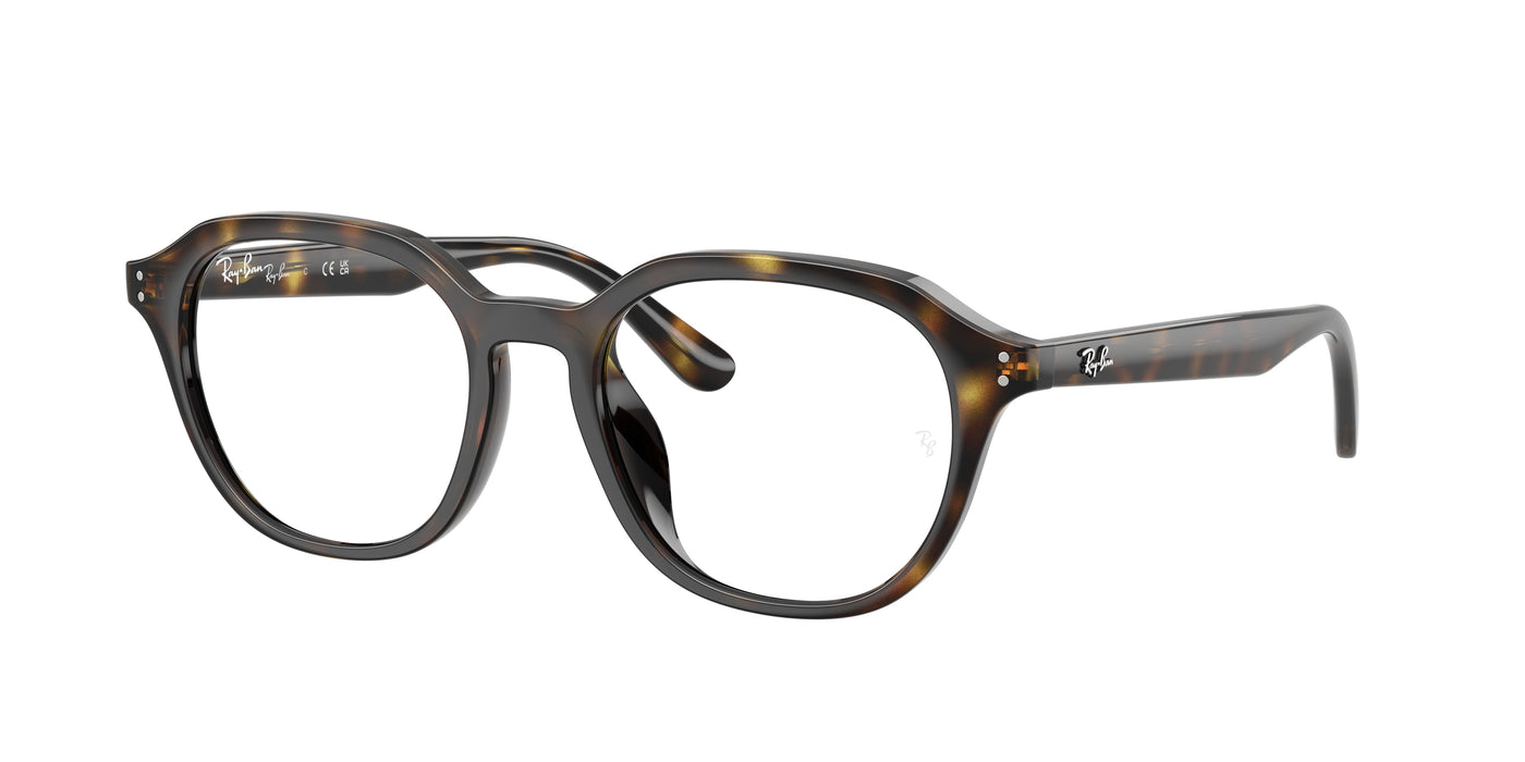 Очки для зрения Ray-Ban RX7259D 2012 52 19