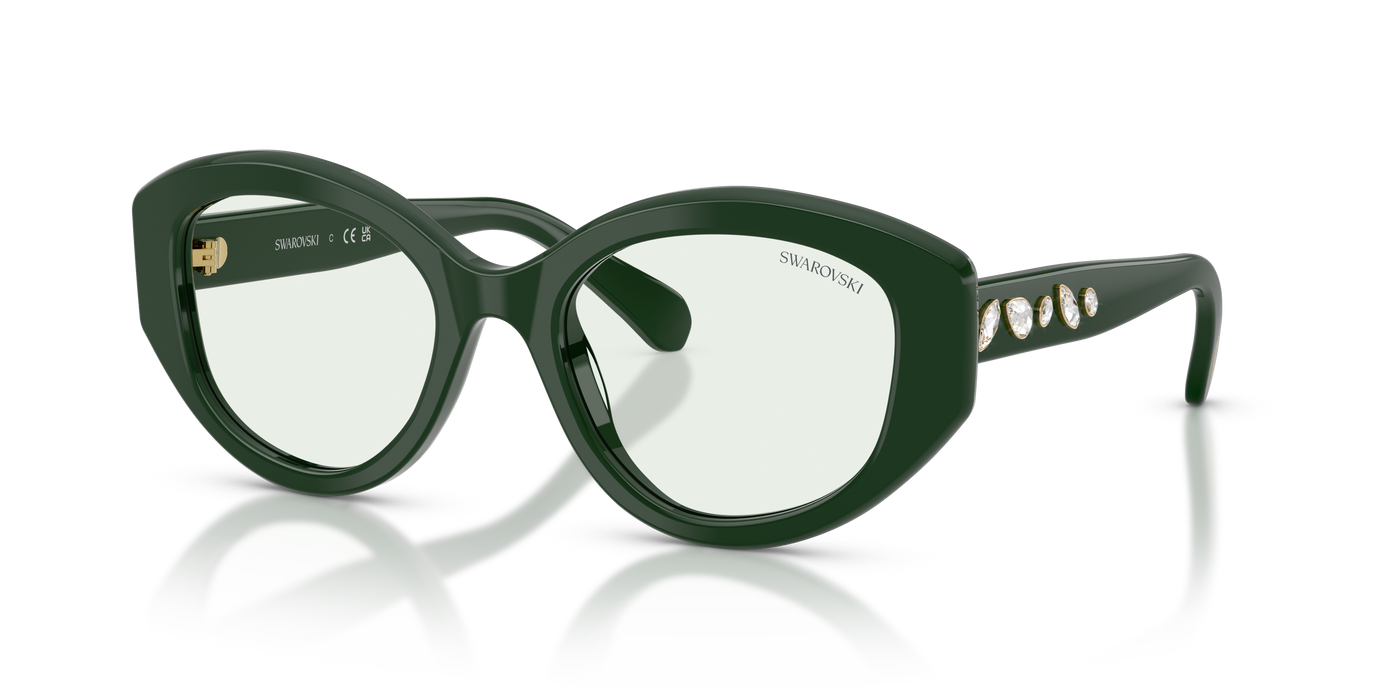 Sonnenbrille Swarovski SK6005 1026M1 53 20